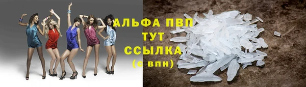 индика Куйбышев
