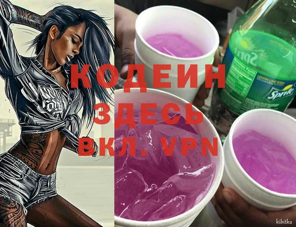 индика Куйбышев