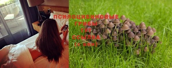 крисы Кукмор