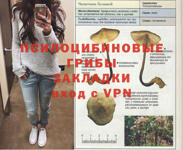 индика Куйбышев