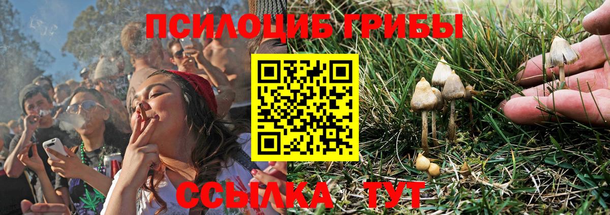 цена наркотик  Фурманов  Галлюциногенные грибы GOLDEN TEACHER 