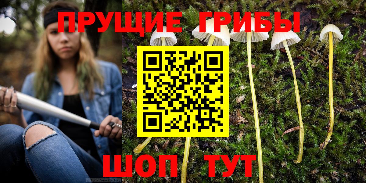 Галлюциногенные грибы Magic Shrooms Фурманов