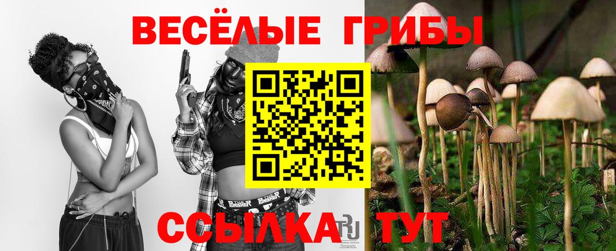 Фурманов  Галлюциногенные грибы мухоморы  Псилоцибиновые грибы мицелий  что такое   Вход с VPN 